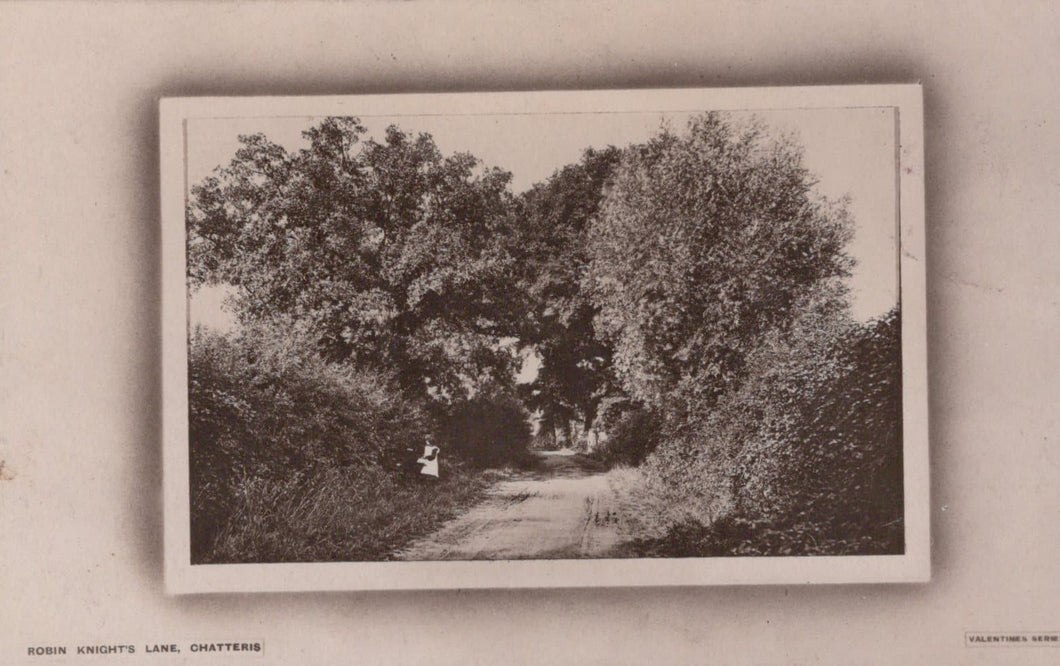 Cambridgeshire Postcard - Robin Knight's Lane, Chatteris, 1912 - Mo’s Postcards 