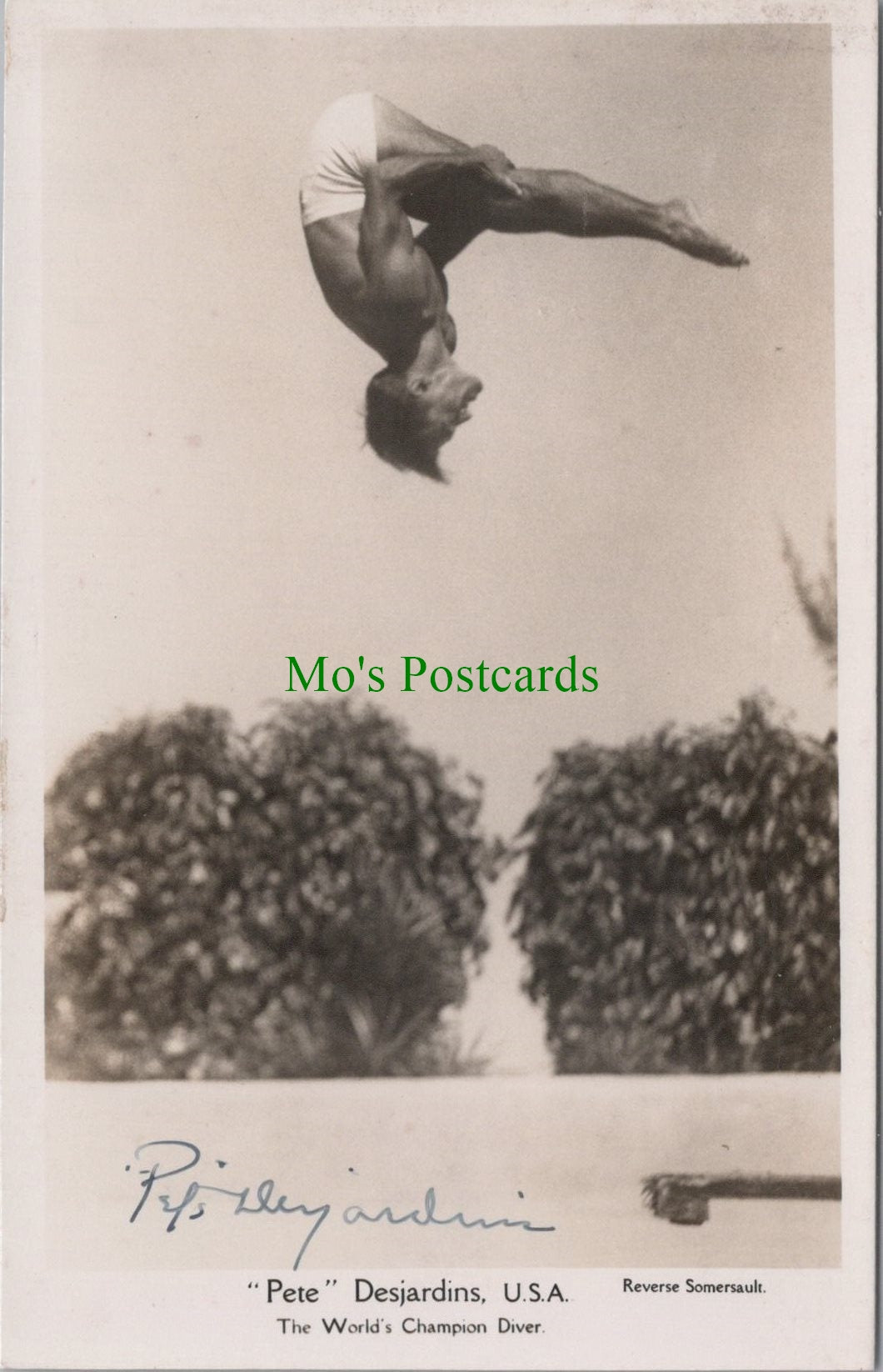 Diving Postcard - World Champion 