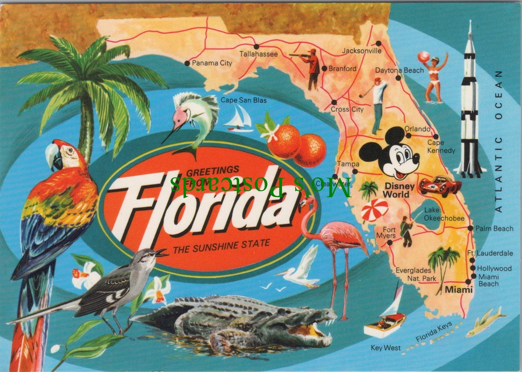 Map Postcard - Greetings From Florida