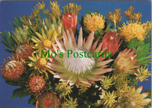 Load image into Gallery viewer, Proteas, Royal Court, South Africa
