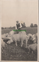 Load image into Gallery viewer, Farming - Pigs and Pig Farming
