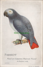 Load image into Gallery viewer, Advertising Postcard - Parrot, Feed on Capern&#39;s Parrot Food
