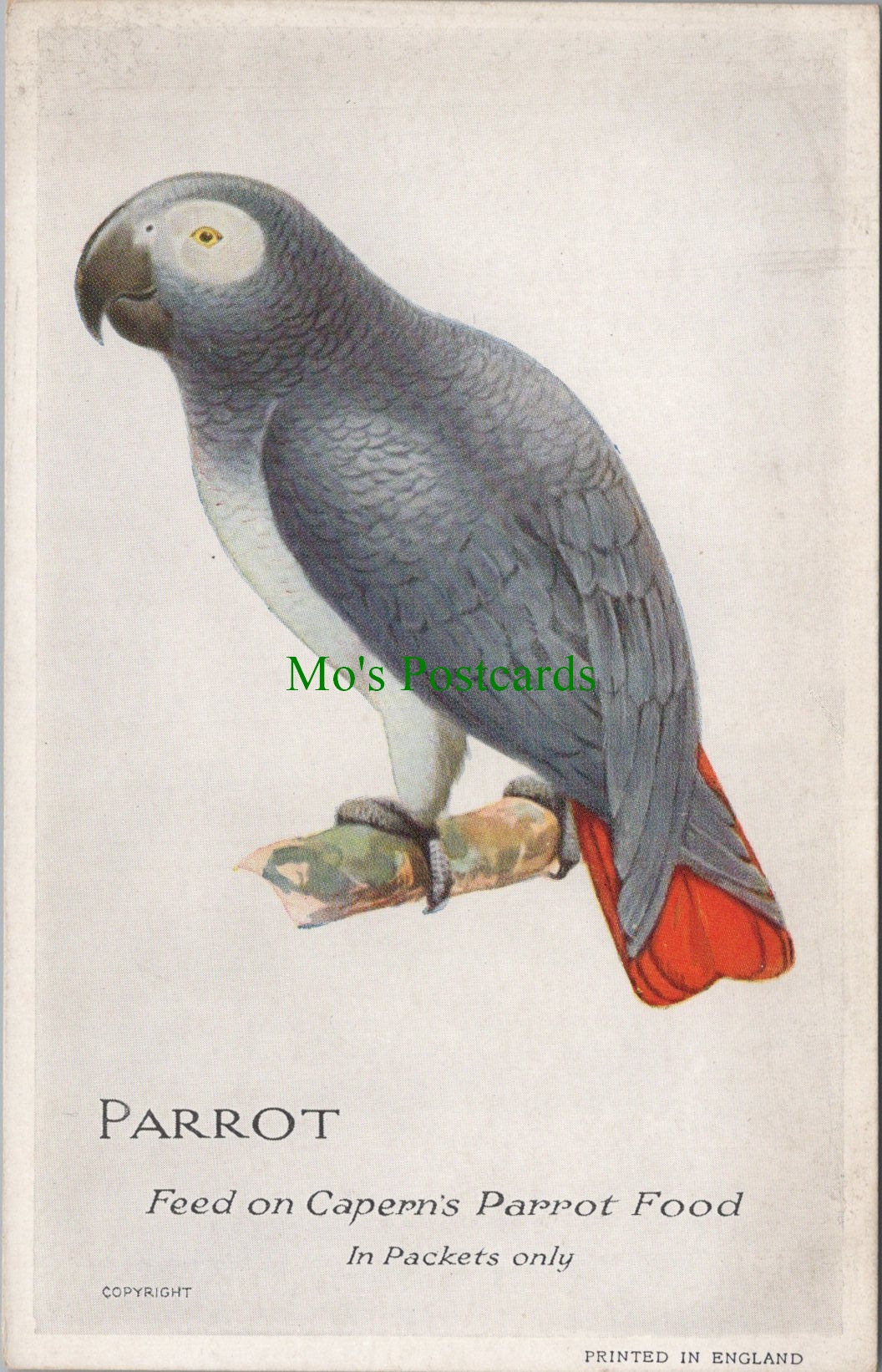 Advertising Postcard - Parrot, Feed on Capern's Parrot Food