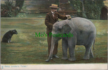 Load image into Gallery viewer, Elephant Postcard - Baby Jumbo&#39;s Toilet
