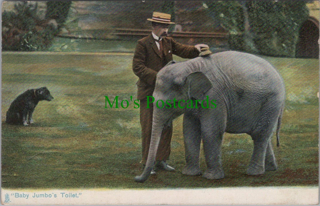 Elephant Postcard - Baby Jumbo's Toilet