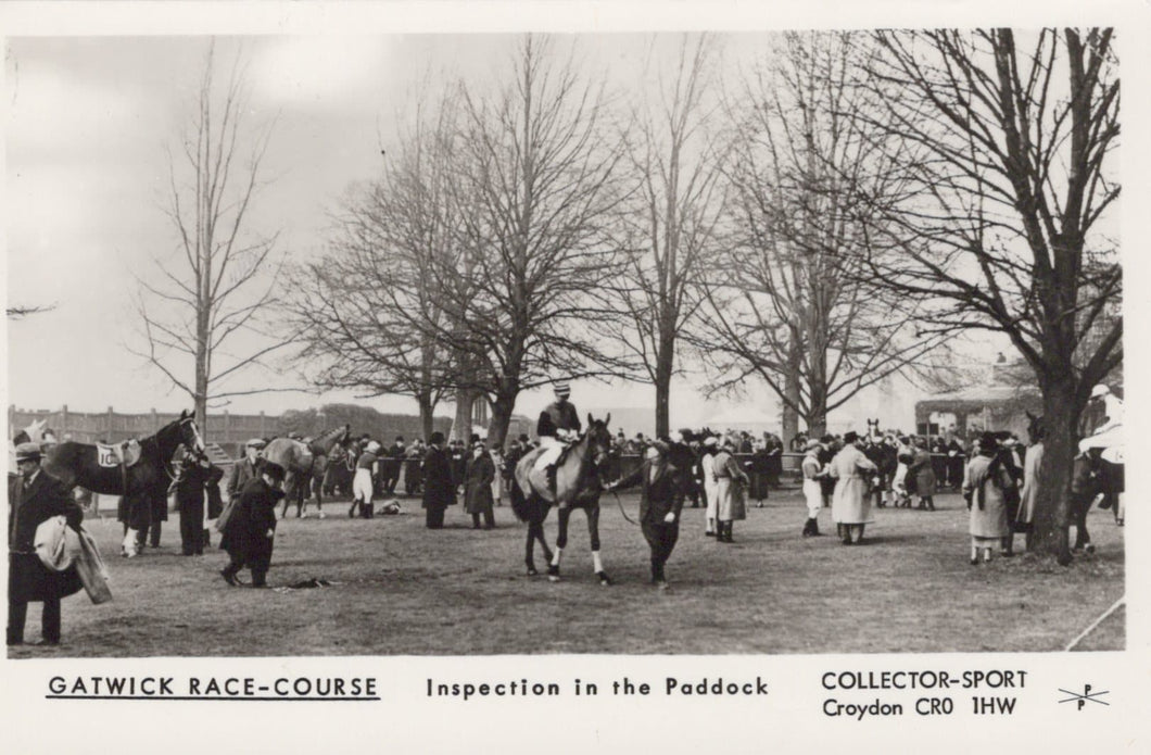 Sussex Postcard - Gatwick Race Course - Inspection in The Paddock - Mo’s Postcards 