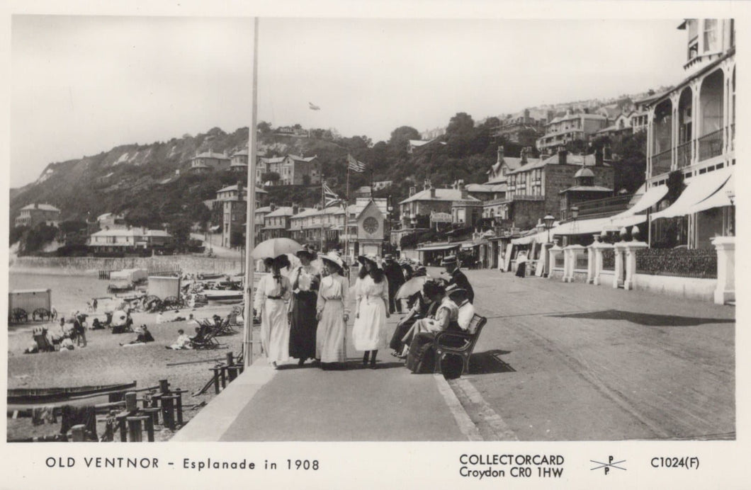 Isle of Wight Postcard - Old Ventnor - Esplanade in 1908 - Mo’s Postcards 