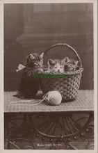 Load image into Gallery viewer, Cats Postcard - Kittens in a Basket
