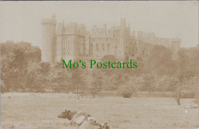 Arundel Castle, Sussex