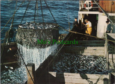 From The Herring Fishery, Norway