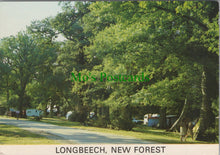 Load image into Gallery viewer, Longbeech Campsite, New Forest, Hampshire
