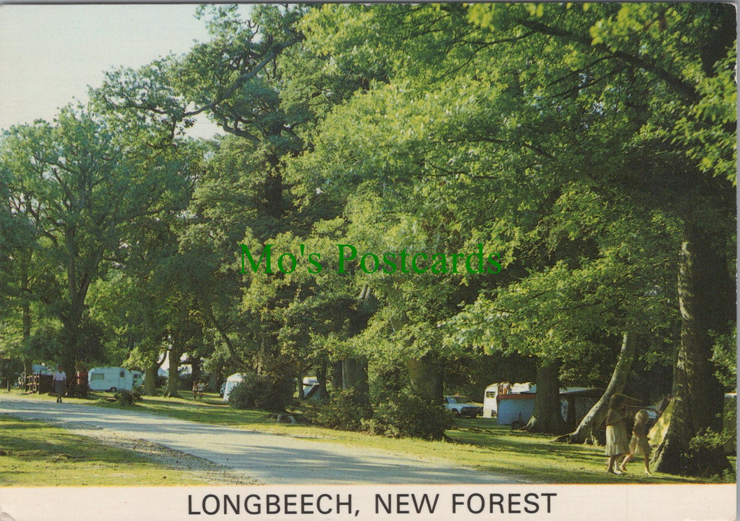 Longbeech Campsite, New Forest, Hampshire