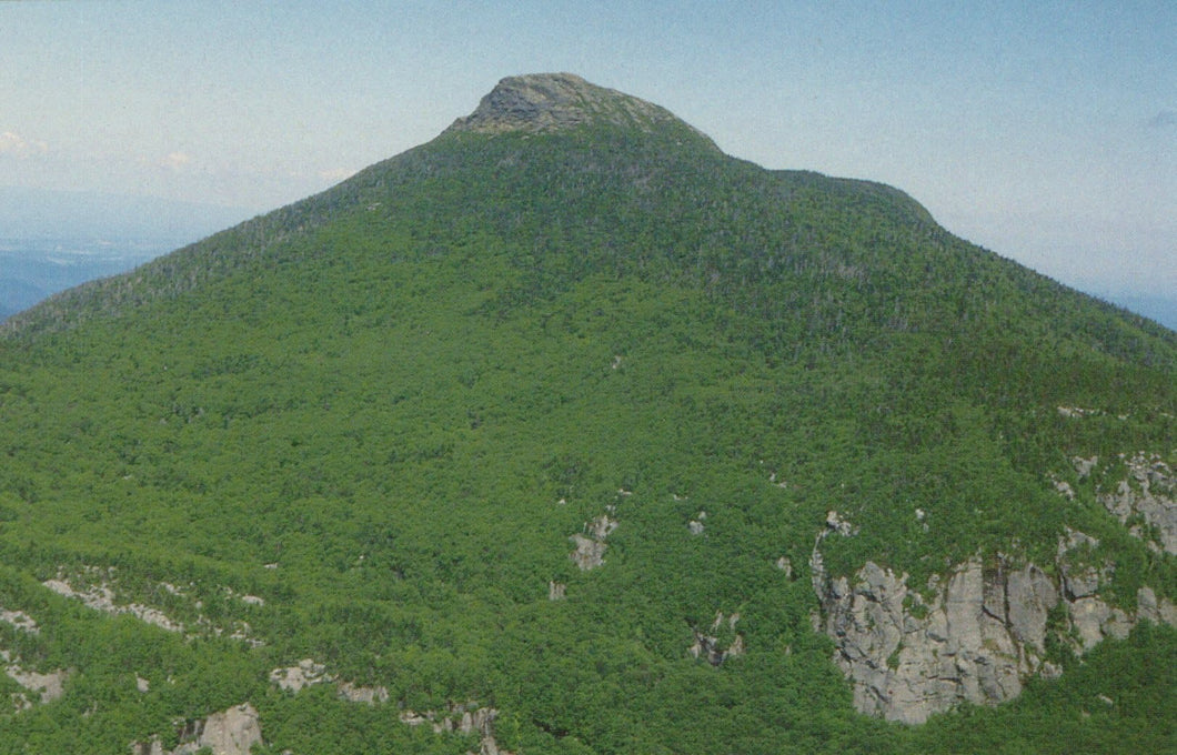 America Postcard - Aerial View of Camel's Hump, Nr Huntington, Vermont - Mo’s Postcards 