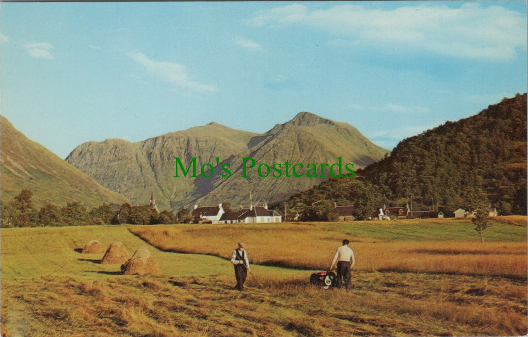 Haymaking at Glencoe Village