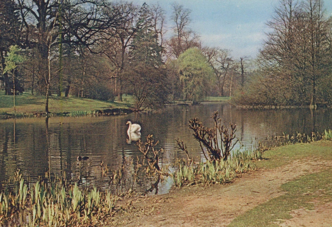 London Postcard - Royal Botanic Gardens, Kew - The Lake in Spring - Mo’s Postcards 