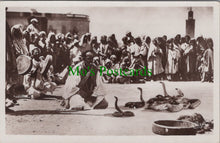 Load image into Gallery viewer, Animals Postcard - A Snake Charmer
