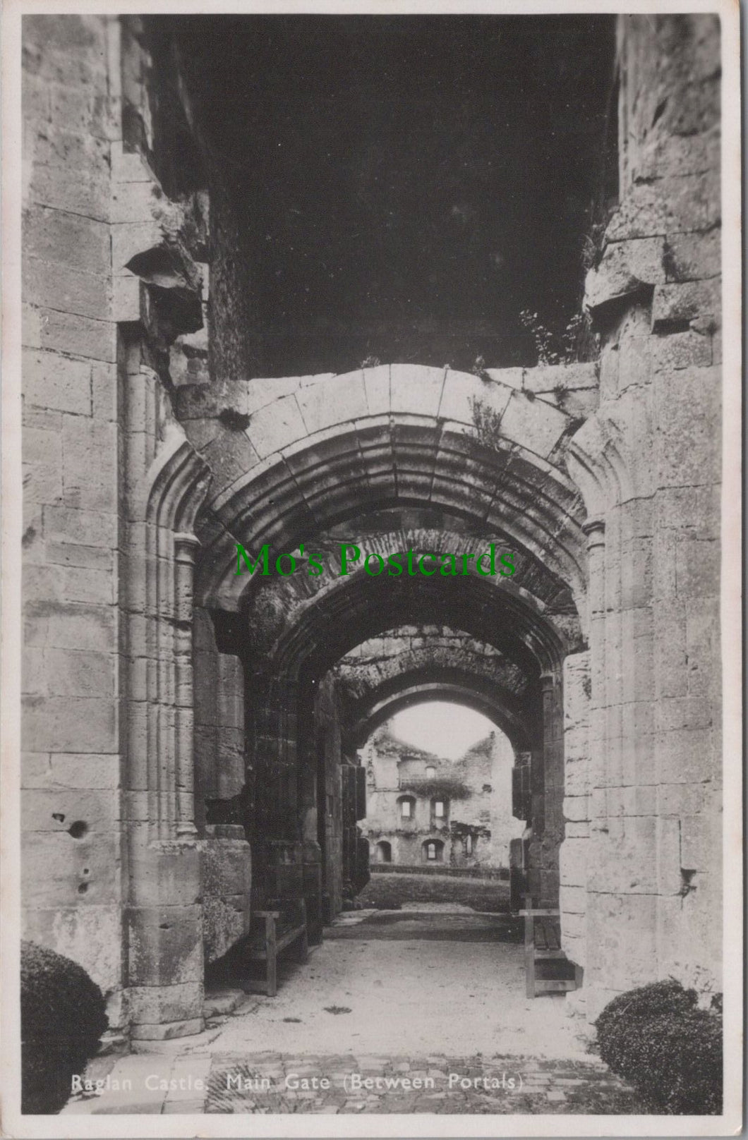 Main Gate, Raglan Castle