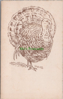 Animals Postcard - A Turkey - Birds   