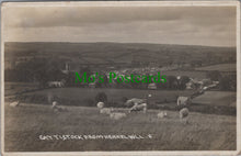 Load image into Gallery viewer, Cattistock From Kennel Hill, Dorset
