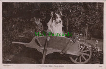 Load image into Gallery viewer, Dog and Cats in a Wheelbarrow

