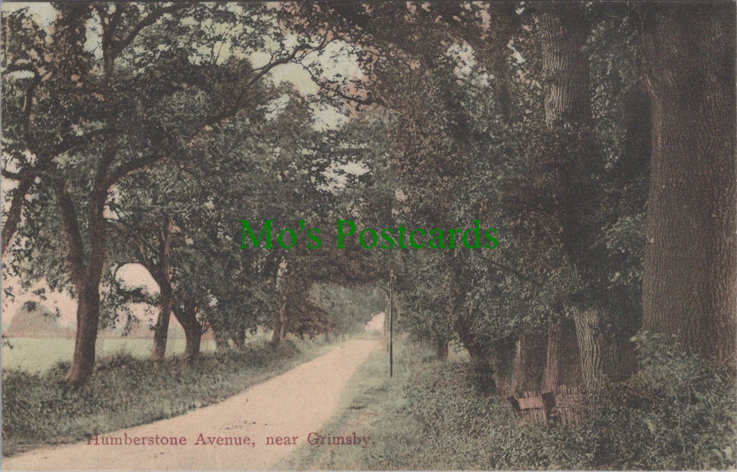 Humberstone Avenue, Near Grimsby