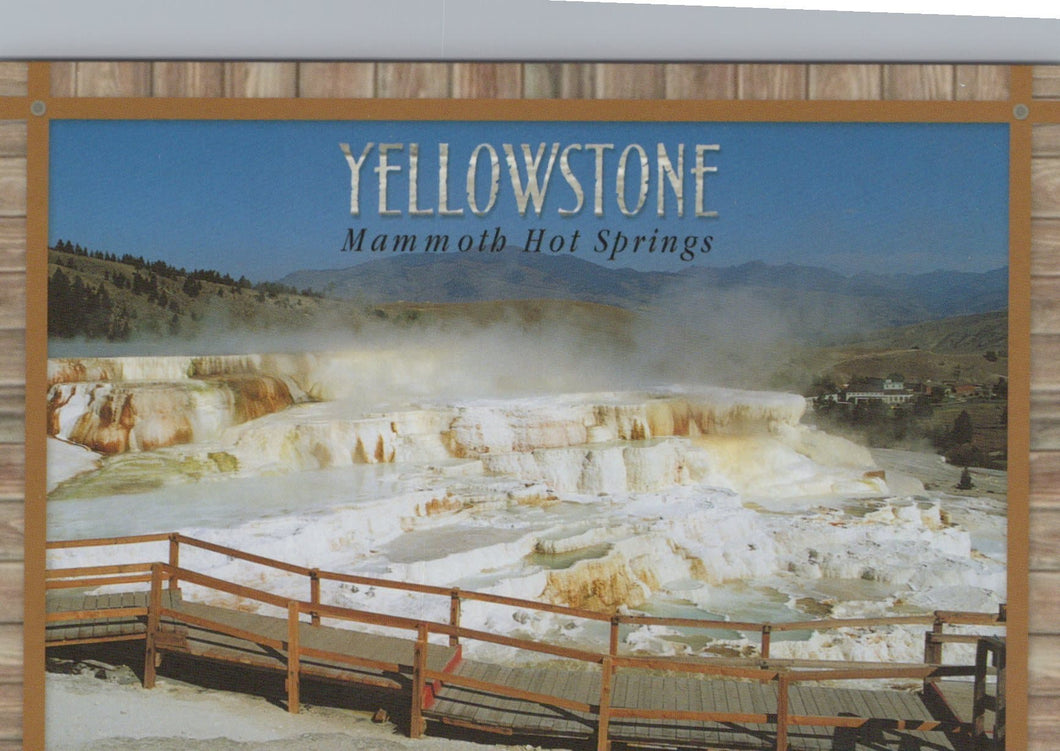 America Postcard - Mammoth Hot Springs, Yellowstone National Park, Wyoming - Mo’s Postcards 