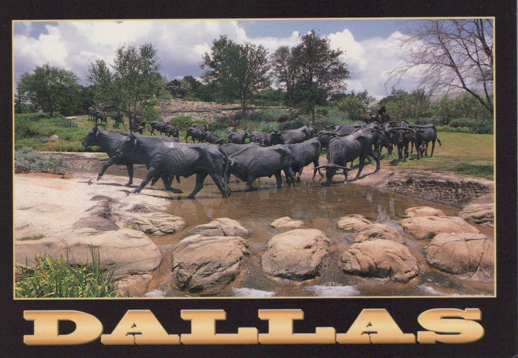 America Postcard - Bronze Monument of Texas Longhorn Steers, The Pioneer Plaza, Dallas - Mo’s Postcards 