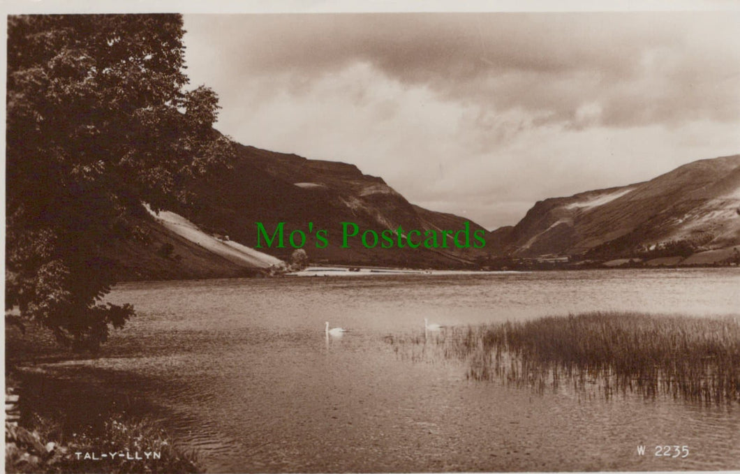 Tal-Y-Llyn Lake, Nr Abergynolwyn, Wales