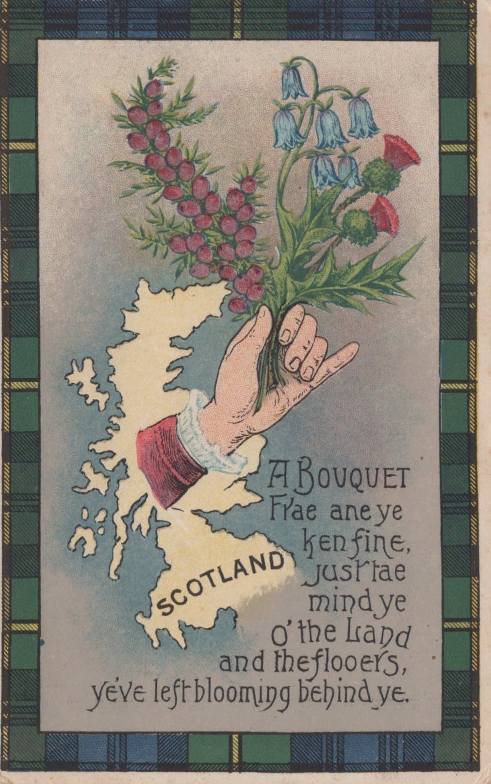 Greetings Postcard - Greetings From Scotland - A Scottish Bouquet, 1917 - Mo’s Postcards 