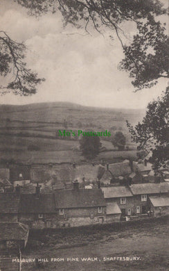 Melbury Hill, Shaftesbury, Dorset