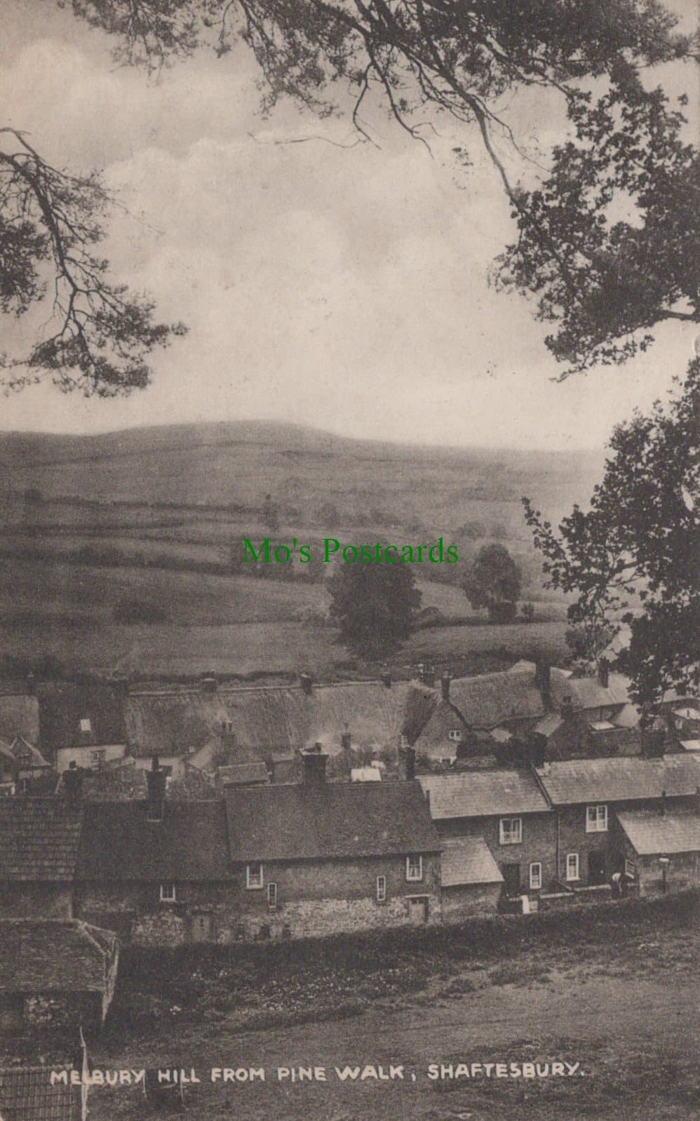Melbury Hill, Shaftesbury, Dorset