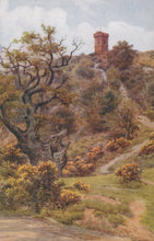 Load image into Gallery viewer, Surrey Postcard - Leith Hill Tower, Dorking - Artist A.R.Quinton - Mo’s Postcards 

