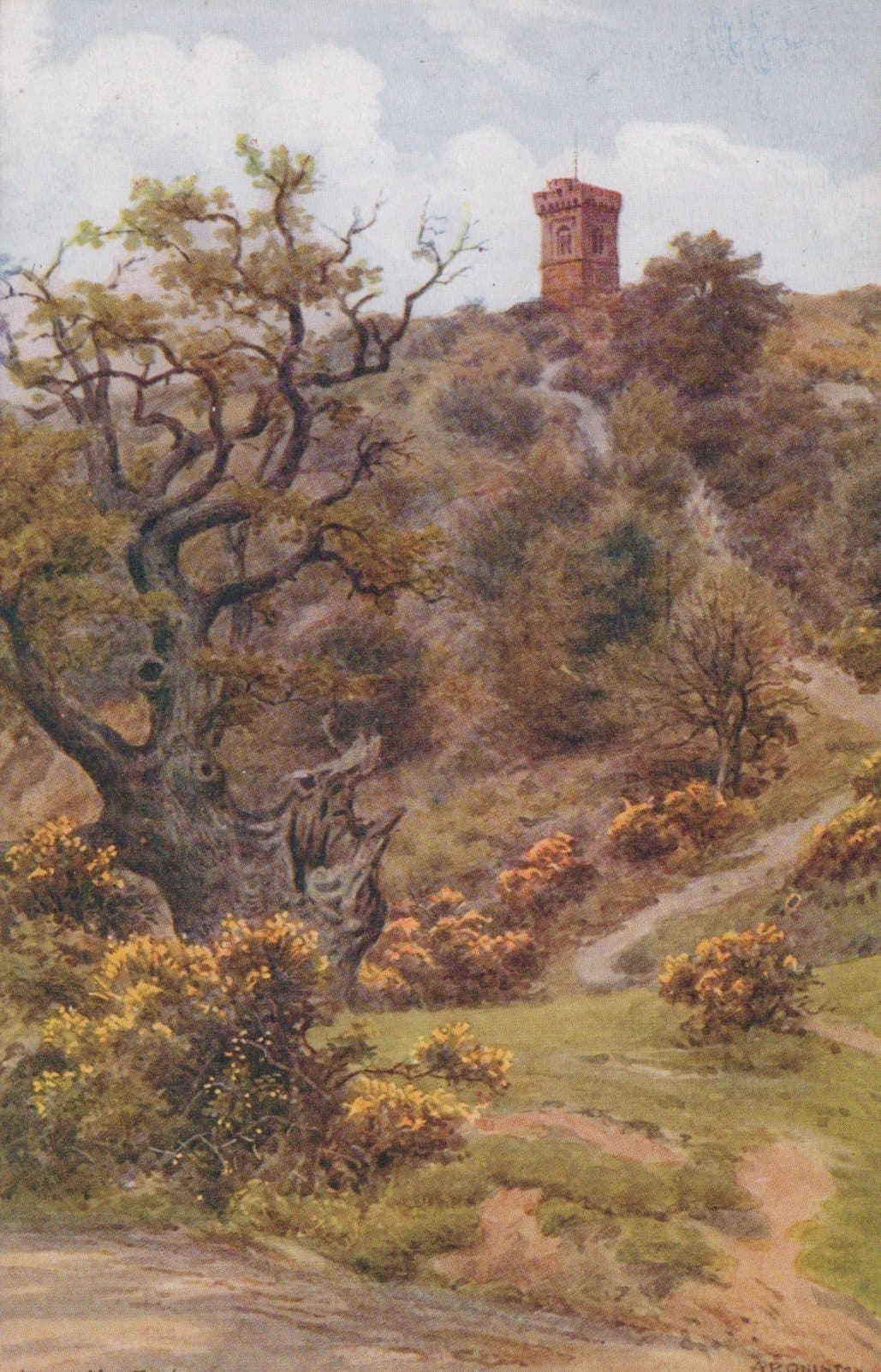 Surrey Postcard - Leith Hill Tower, Dorking - Artist A.R.Quinton - Mo’s Postcards 
