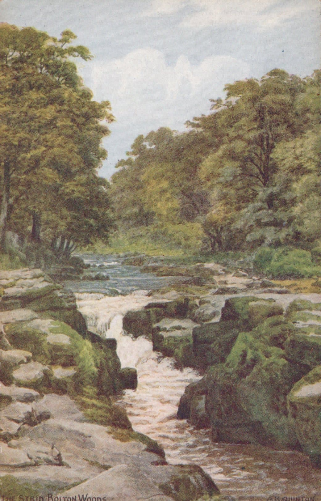 Yorkshire Postcard - The Strid, Bolton Woods - Artist A.R.Quinton - Mo’s Postcards 