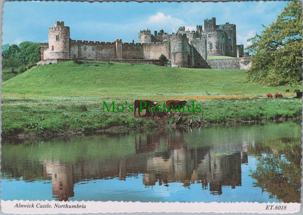 Alnwick Castle, Northumberland