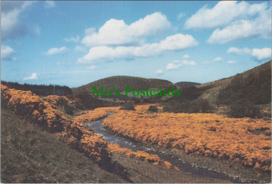 College Valley in Spring, Northumberland