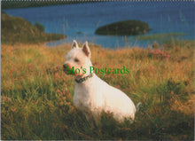Load image into Gallery viewer, Dogs Postcard - West Highland White Terrier
