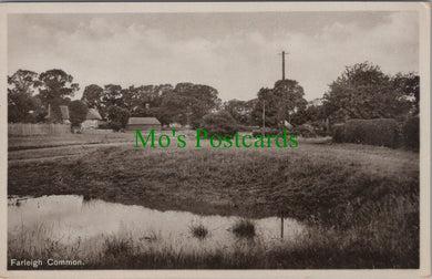 Farleigh Common, Surrey
