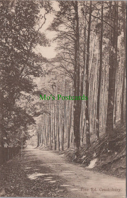 Pine Road, Cooksbury, Surrey