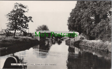 The Cutting, Sunbury-On-Thames, Surrey