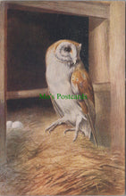 Load image into Gallery viewer, Birds Postcard - Owl on Nest
