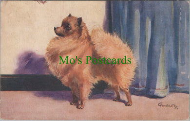 Dogs Postcard - The Pomeranian