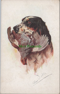 Sporting Dogs & Birds, Artist Arthur Wardle