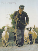 Load image into Gallery viewer, Greece Postcard - The Homecoming - Man With Goats - Mo’s Postcards 
