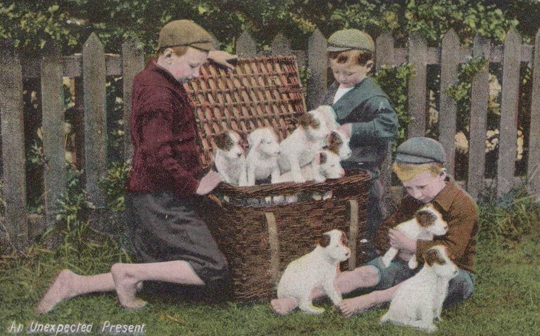 Animals Postcard - Dogs - Children With a Basket of Puppies - An Unexpected Present, 1910 - Mo’s Postcards 