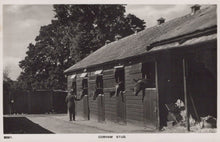 Load image into Gallery viewer, Surrey Postcard - Cobham Stub - Horses / Stables - Mo’s Postcards 
