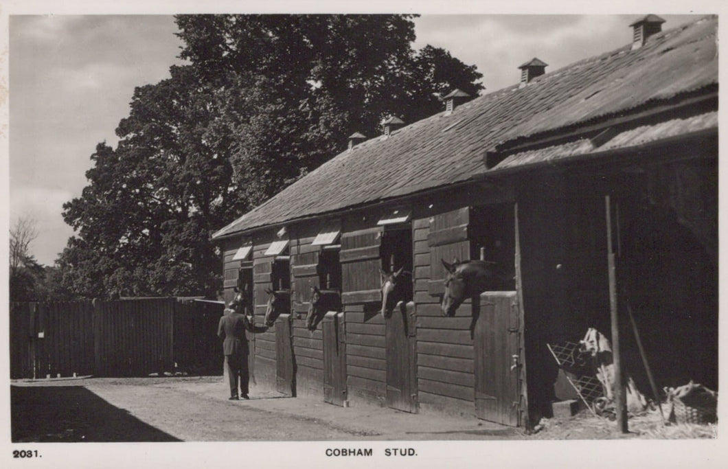 Surrey Postcard - Cobham Stub - Horses / Stables - Mo’s Postcards 