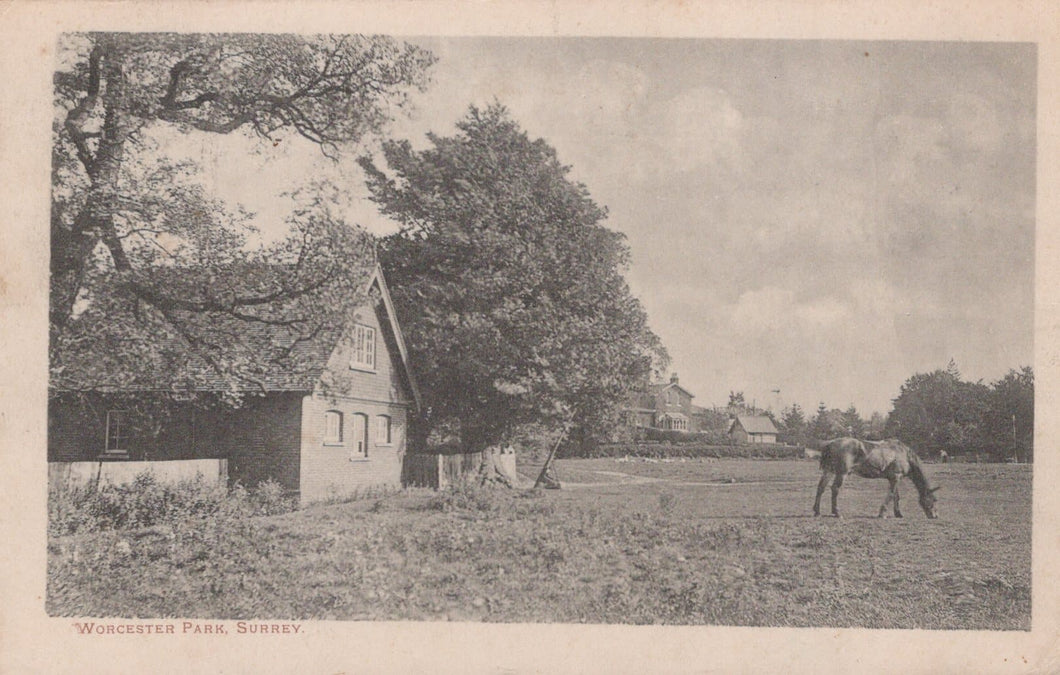 Surrey Postcard - Worcester Park, 1903 - Mo’s Postcards 