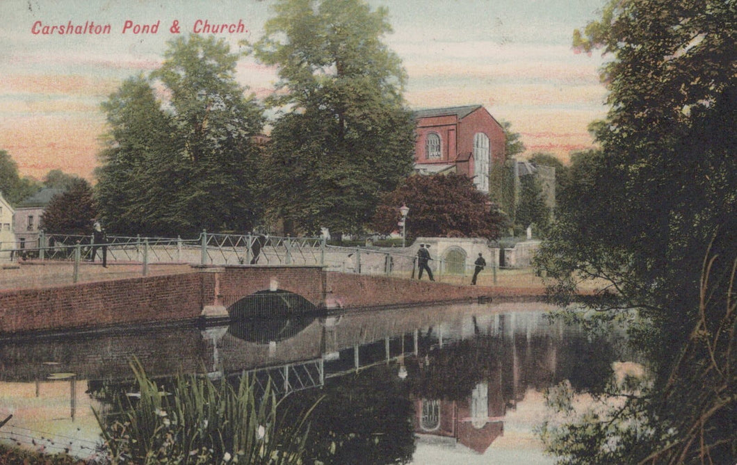 Surrey Postcard - Carshalton Pond & Church, 1908 - Mo’s Postcards 
