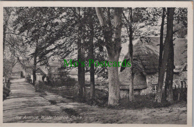 The Avenue, Winterbourne Stoke, Wiltshire